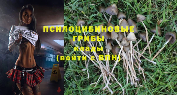 мяу мяу кристалл Алексин