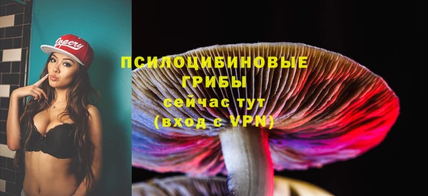 бошки Арсеньев