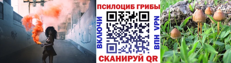 Псилоцибиновые грибы Psilocybine cubensis  Рудня 