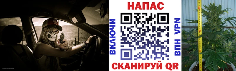МАРИХУАНА тримм  Рудня 